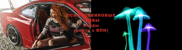 эйфоретик Алексин
